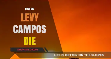The Mysterious Death of Levy Campos: Unraveling the Tragic Story