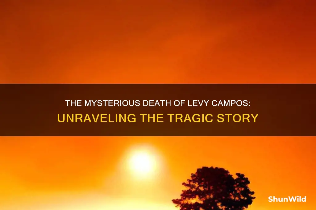 how did levy campos die
