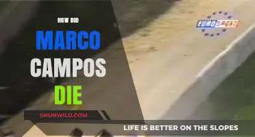 Marco Campos' Tragic Death: Unraveling the Circumstances of His Passing
