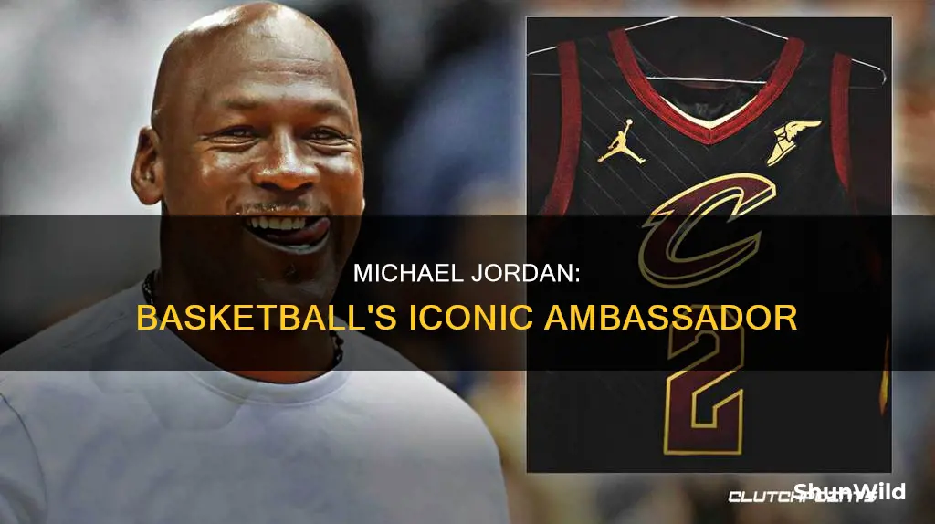 how did michael jordan bring people to basketball