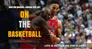 Michael Jordan: Master of the Hardwood Floors