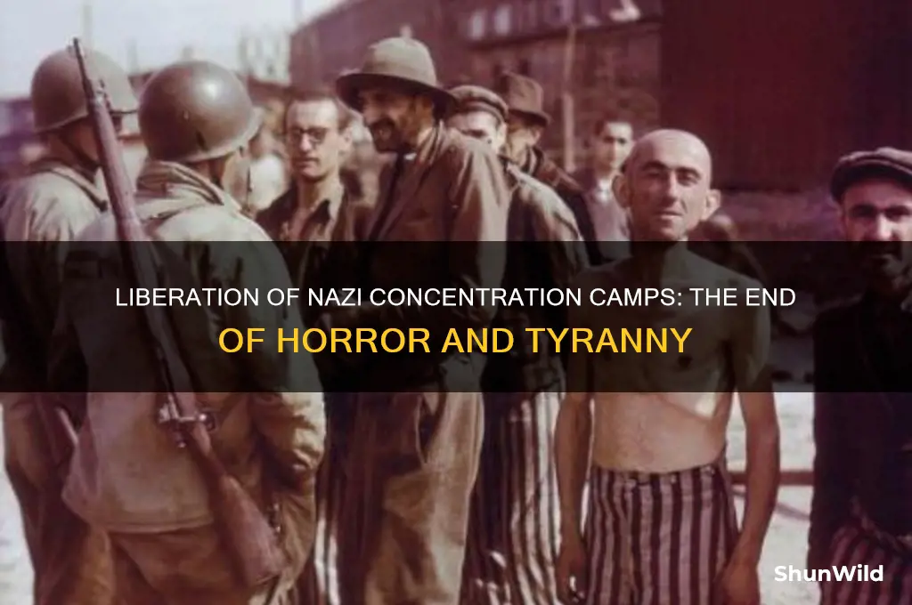how did nazi concentration camps end