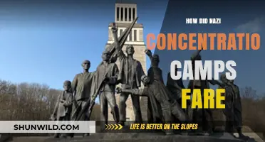Nazi Concentration Camps: Survival, Suffering, and Historical Aftermath Explored