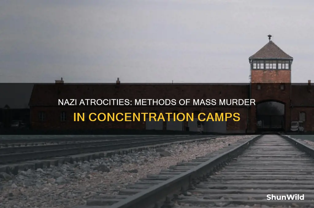 how did nazis kill in the concentration camps