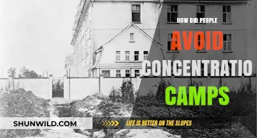Strategies for Evading Concentration Camps During World War II