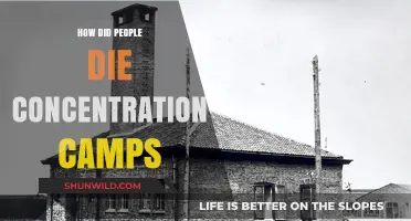 Unimaginable Horrors: Understanding Deaths in Nazi Concentration Camps
