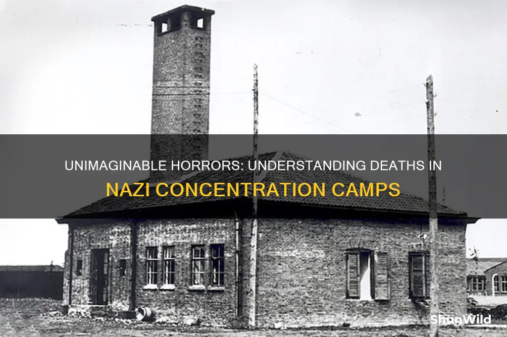 how did people die concentration camps