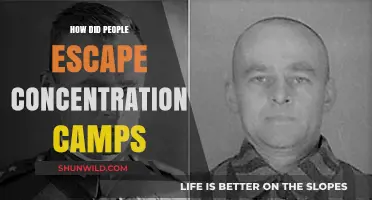 Escaping the Unimaginable: Stories of Survival from Concentration Camps