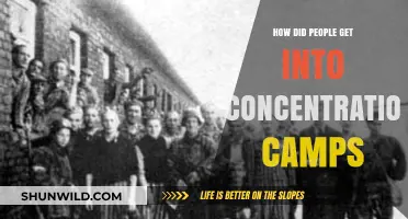 The Harrowing Journey: How Individuals Were Forced into Concentration Camps