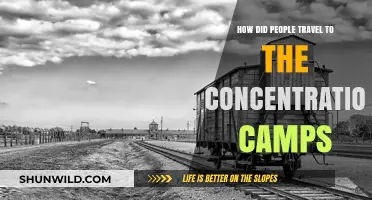 The Harrowing Journeys to Concentration Camps: Methods and Realities