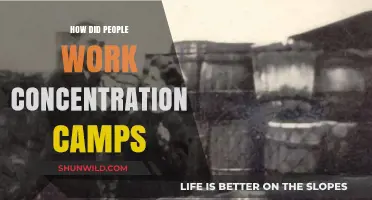 Inside the Brutal Reality of Concentration Camp Labor Systems