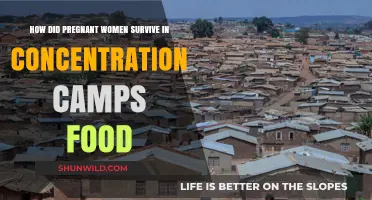 Pregnant Women's Survival: Food Scarcity in Concentration Camps