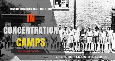 Resilience in Darkness: Mutual Healing Among Concentration Camp Prisoners