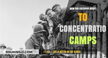 Witnessing Horror: Soldiers' Reactions to Concentration Camps Revealed