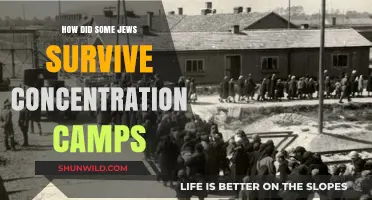 Resilience and Survival: How Some Jews Endured Concentration Camps