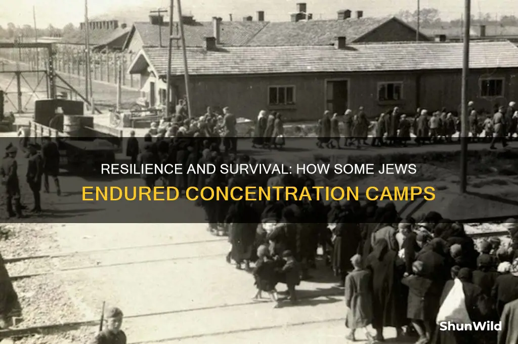 how did some jews survive concentration camps
