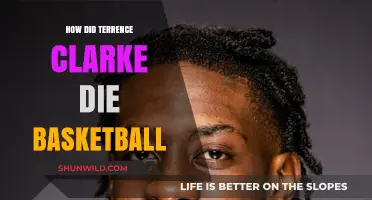Tragic Accident Claims Life of Basketball Star Terrence Clarke