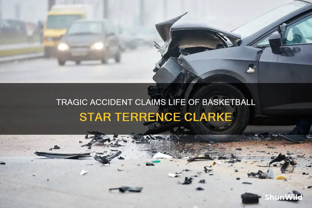 how did terrence clarke die basketball
