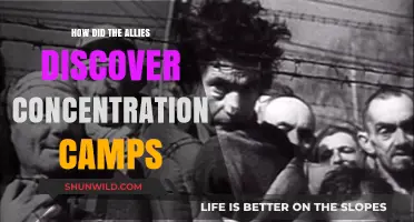 Unveiling the Horrors: How Allies Discovered Nazi Concentration Camps