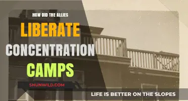 Liberating the Camps: Allies' Role in Ending Nazi Atrocities