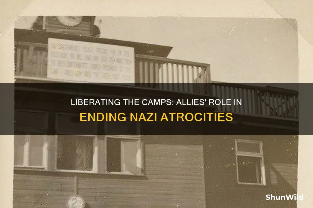 how did the allies liberate concentration camps