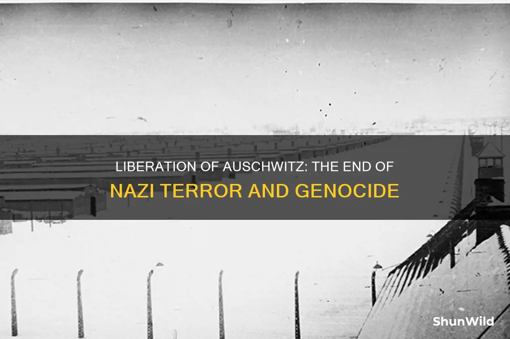 how did the auschiwitz concentration camp end