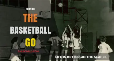 The Evolution of Basketball: From 8 to Glory