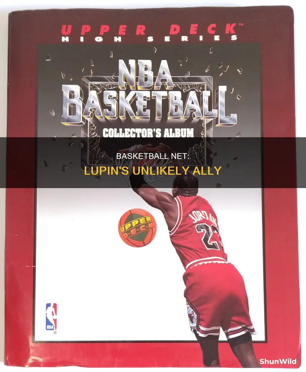 how did the basketball net help lupin