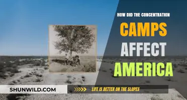 Concentration Camps' Impact: America's Response and Lasting Legacy