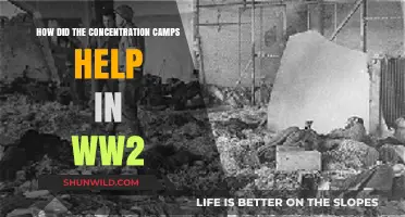 Concentration Camps' Strategic Role in Shaping WWII Outcomes