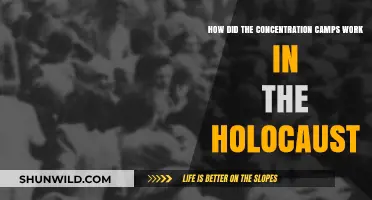 Inside the Holocaust: Understanding the Functioning of Concentration Camps