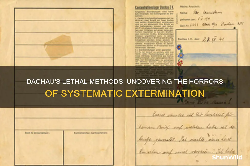 how did the dachau concentration camp kill