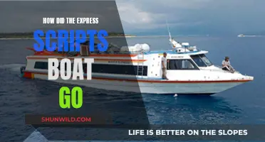 Express Scripts' Journey: Smooth Sailing or Sinking Ship?
