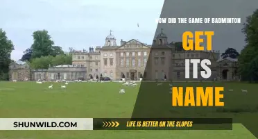 Badminton's Surprising Naming History: Unveiling the Sport's Origin