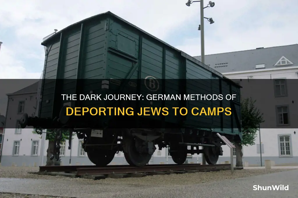 how did the germans transport jews to concentration camps