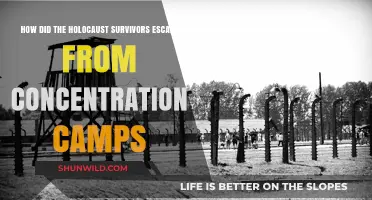 Escape from Hell: Holocaust Survivors' Journeys to Freedom
