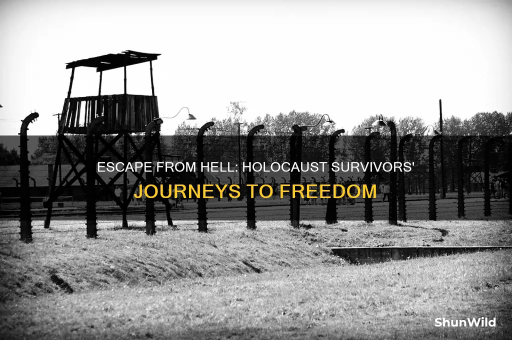 how did the holocaust survivors escape from concentration camps