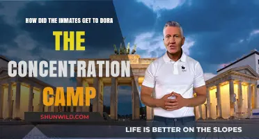 The Harrowing Journey of Inmates to Dora Concentration Camp