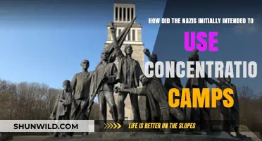 The Nazis' Original Plan for Concentration Camps: A Historical Overview