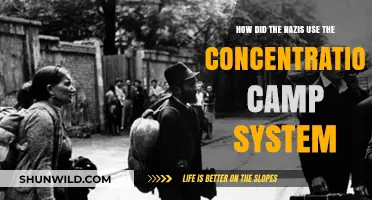 Nazi Concentration Camps: Systemic Oppression, Exploitation, and Genocide Explained