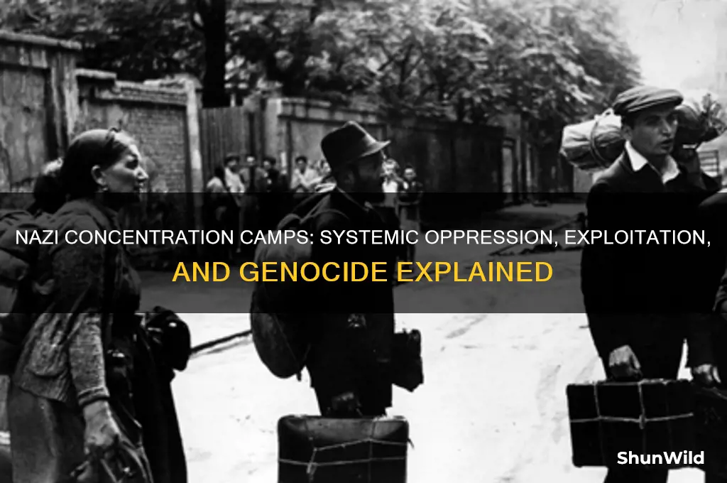 how did the nazis use the concentration camp system