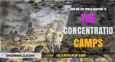 Public Outrage and Silence: Reactions to Concentration Camps Revealed
