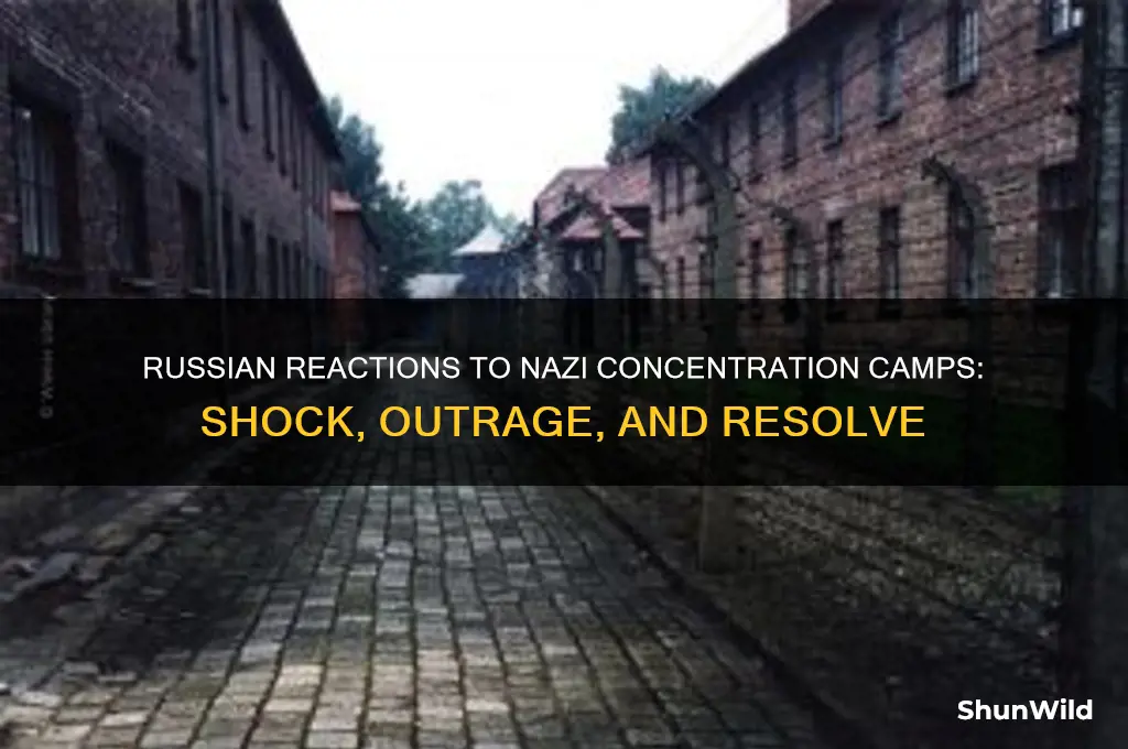 how did the russains react to the concentration camps
