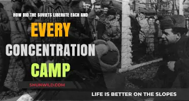Soviet Liberation of Nazi Concentration Camps: A Comprehensive Overview