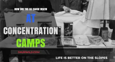 SS Atrocities: Methods of Death in Concentration Camps Explained