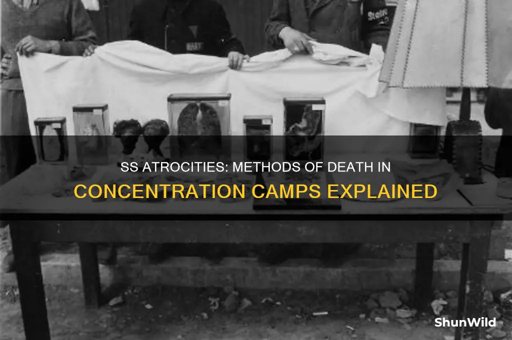 how did the ss cause death at concentration camps