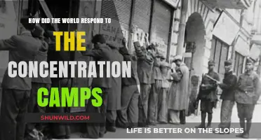 Global Reactions to Concentration Camps: Outrage, Silence, and Resistance
