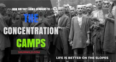 The Forced Deportation of Germans to Concentration Camps: A Dark History