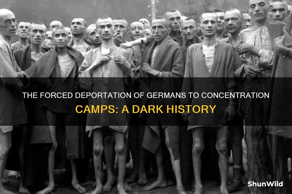 how did they bring germans to the concentration camps