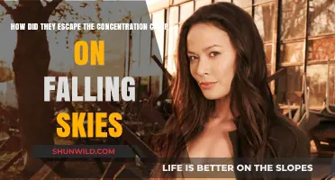 Falling Skies: The Daring Concentration Camp Escape Strategy Revealed